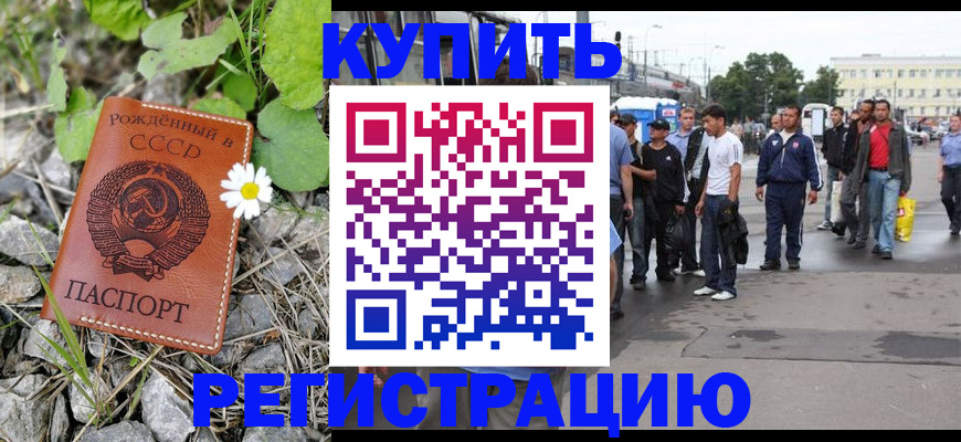 прописка гарантия в Северске